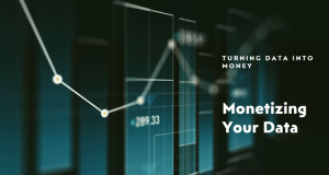 Data Monetization Strategies